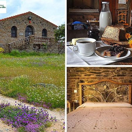 Albergue La Jarilla Plasenzuela Luaran gambar