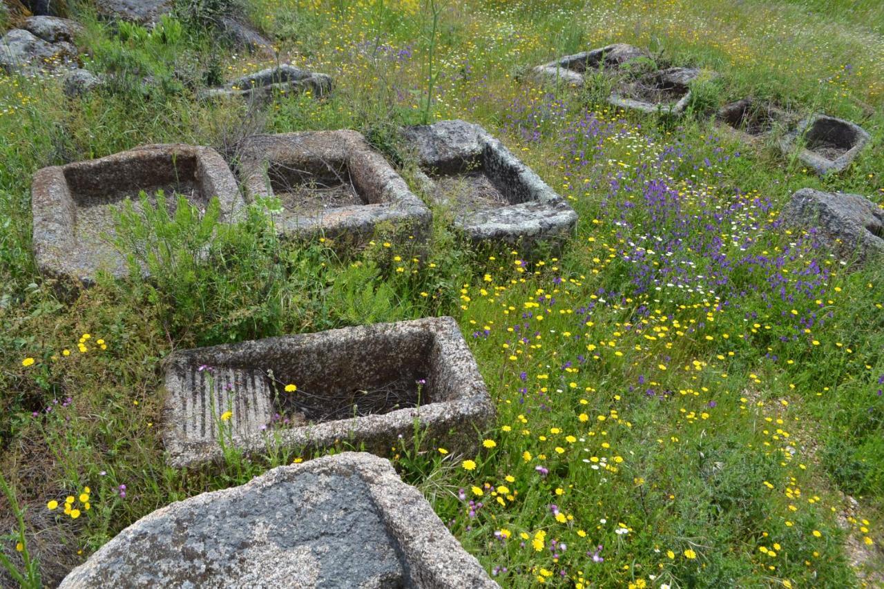 Albergue La Jarilla Plasenzuela Luaran gambar