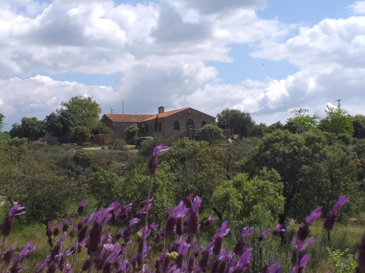 Albergue La Jarilla Plasenzuela Luaran gambar